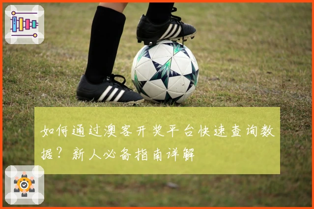如何通过澳客开奖平台快速查询数据？新人必备指南详解